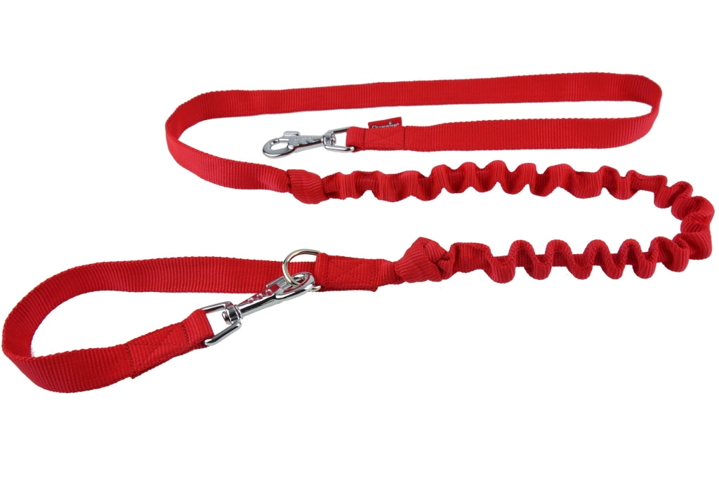Strong Anti-Shock Absorbing Dog Lead | Double Clip for Walking, Jogging, Running