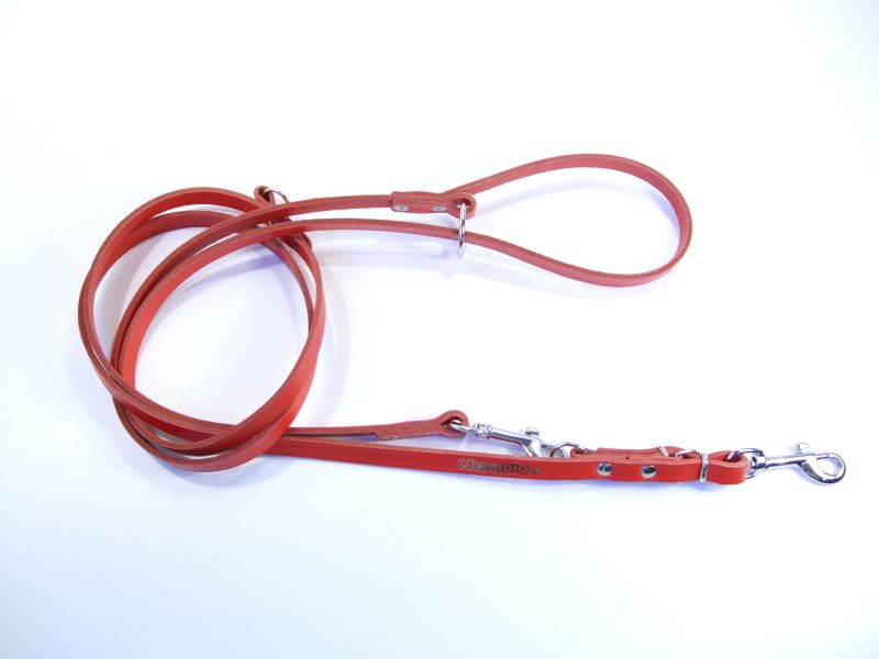 leather dog lead