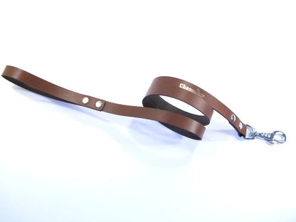 dog lead
