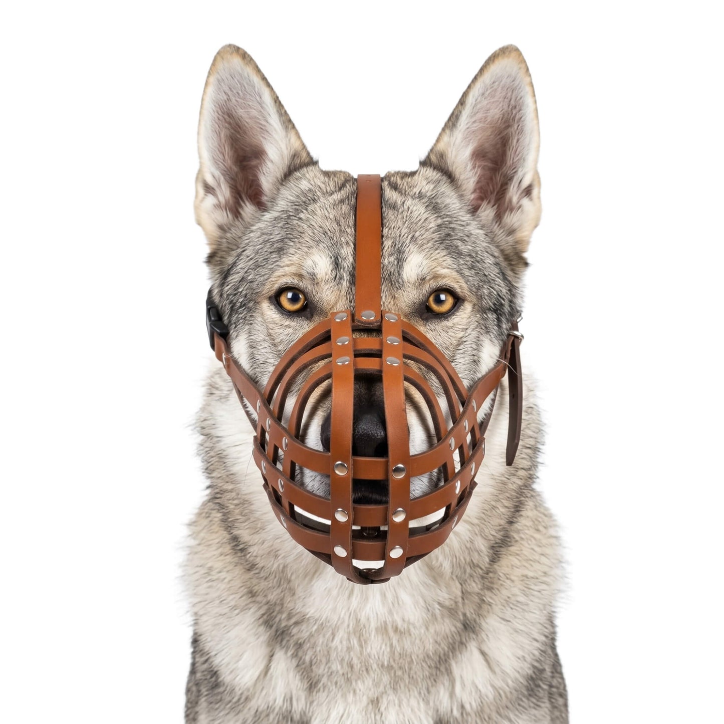 Handcrafted Genuine Leather Muzzle for Czechoslovakian Wolfdogs