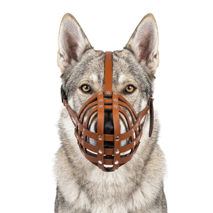 Handcrafted Genuine Leather Muzzle for Czechoslovakian Wolfdogs