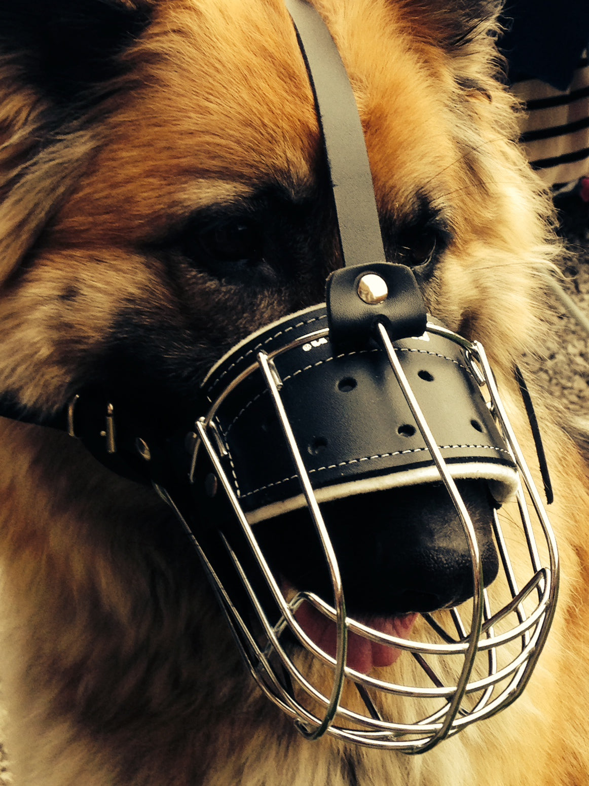 Black Leather Metal Muzzle
